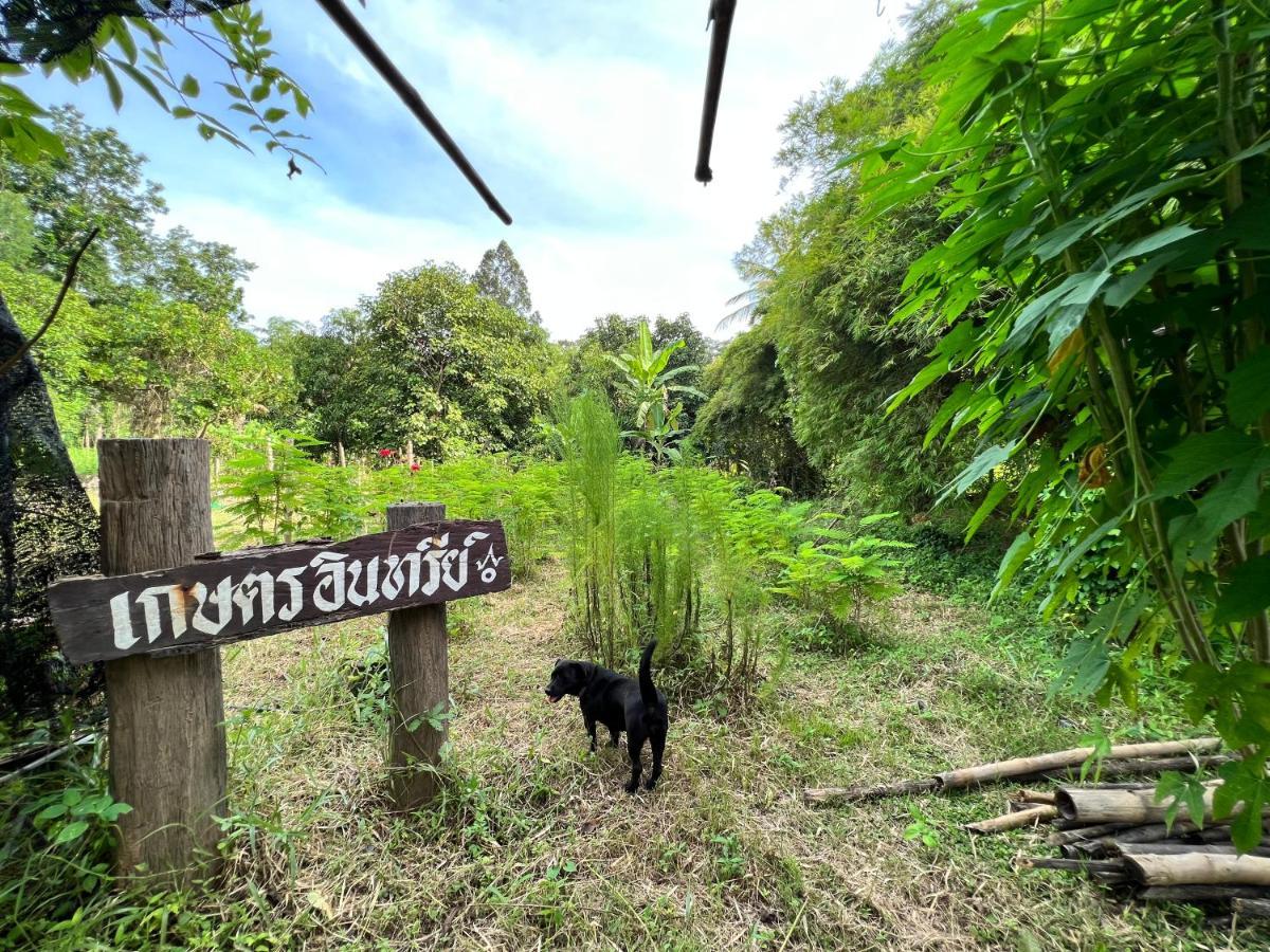 Phow Homestay Ban Mai  Ngoại thất bức ảnh